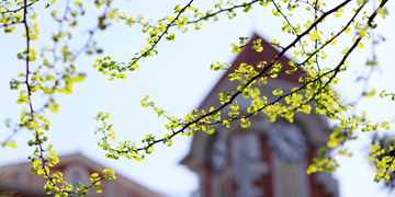 首页- yl永利集团中国区官方网站