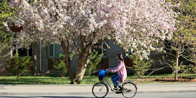 首页- yl永利集团中国区官方网站