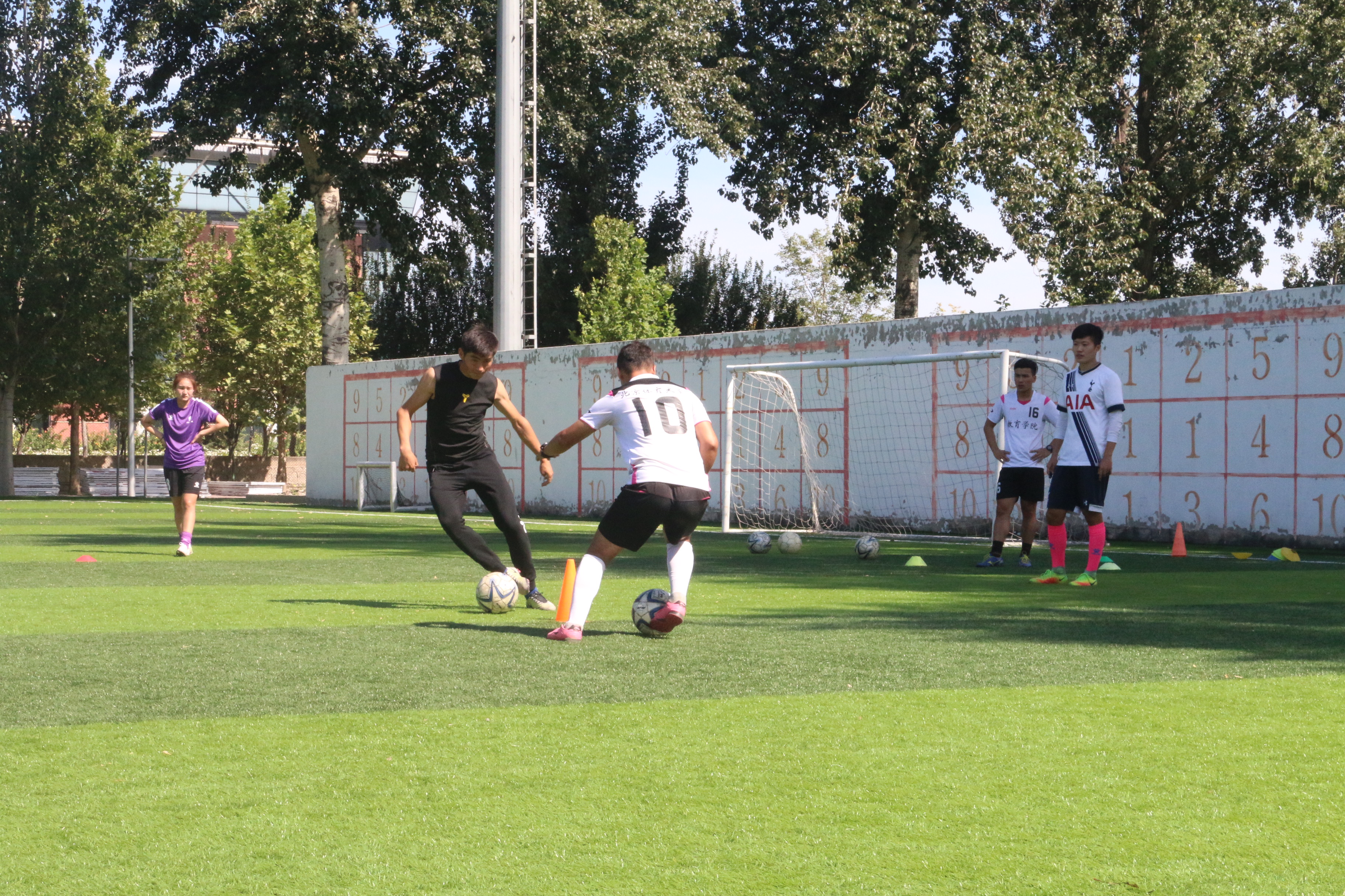 首页- yl永利集团中国区官方网站