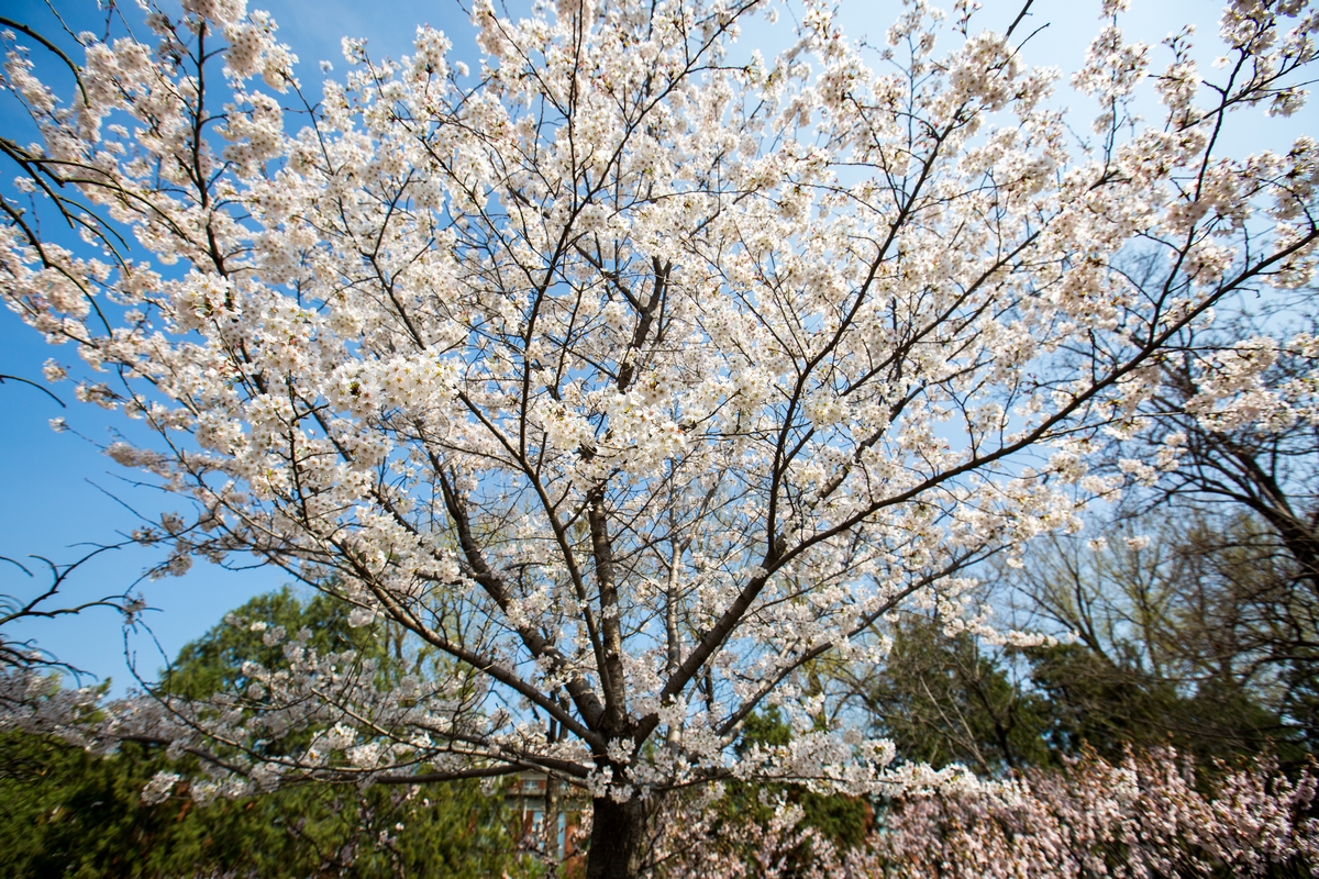 首页- yl永利集团中国区官方网站