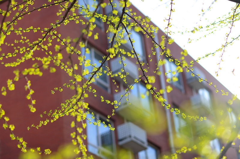 首页- yl永利集团中国区官方网站