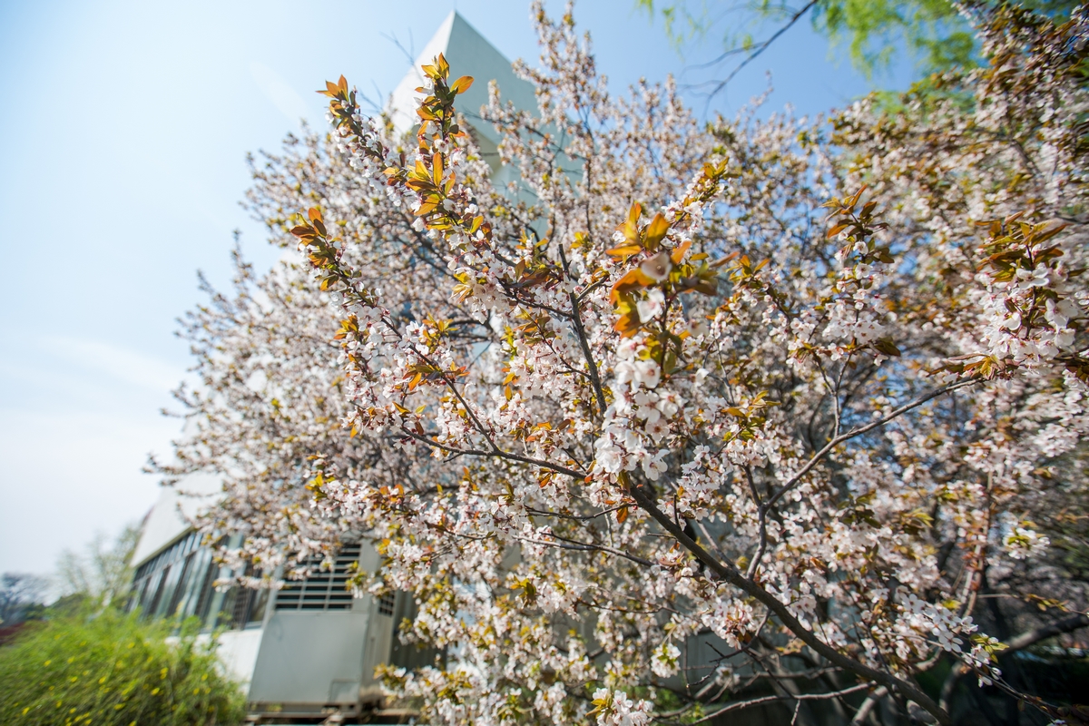 首页- yl永利集团中国区官方网站