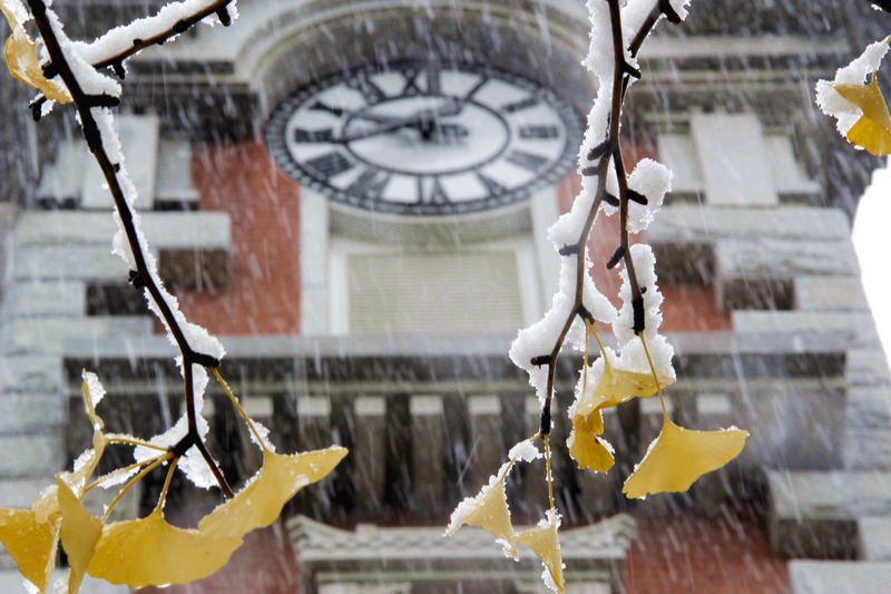 首页- yl永利集团中国区官方网站
