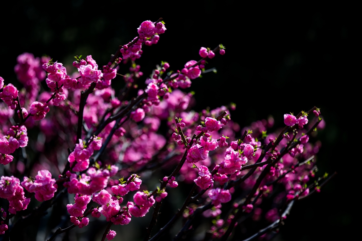 首页- yl永利集团中国区官方网站