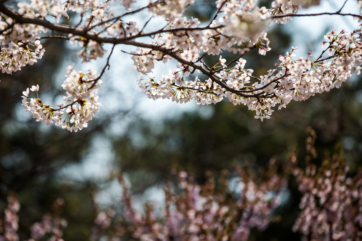 首页- yl永利集团中国区官方网站