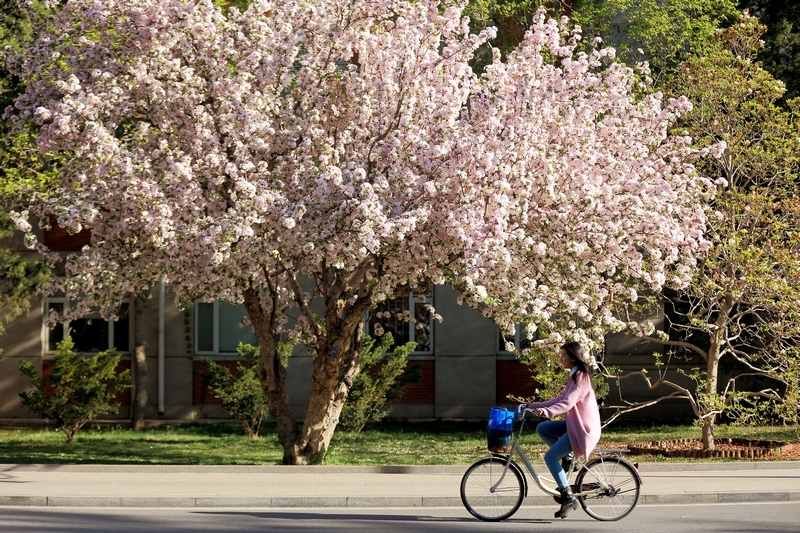 首页- yl永利集团中国区官方网站
