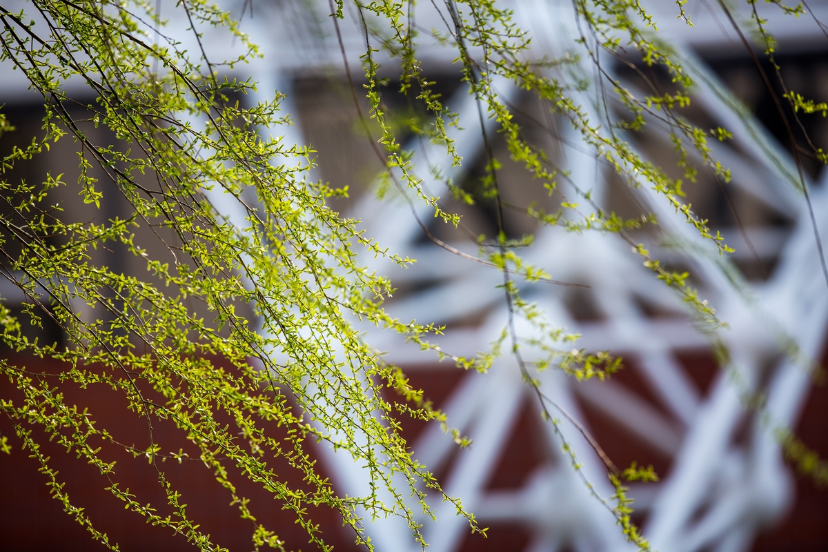 首页- yl永利集团中国区官方网站