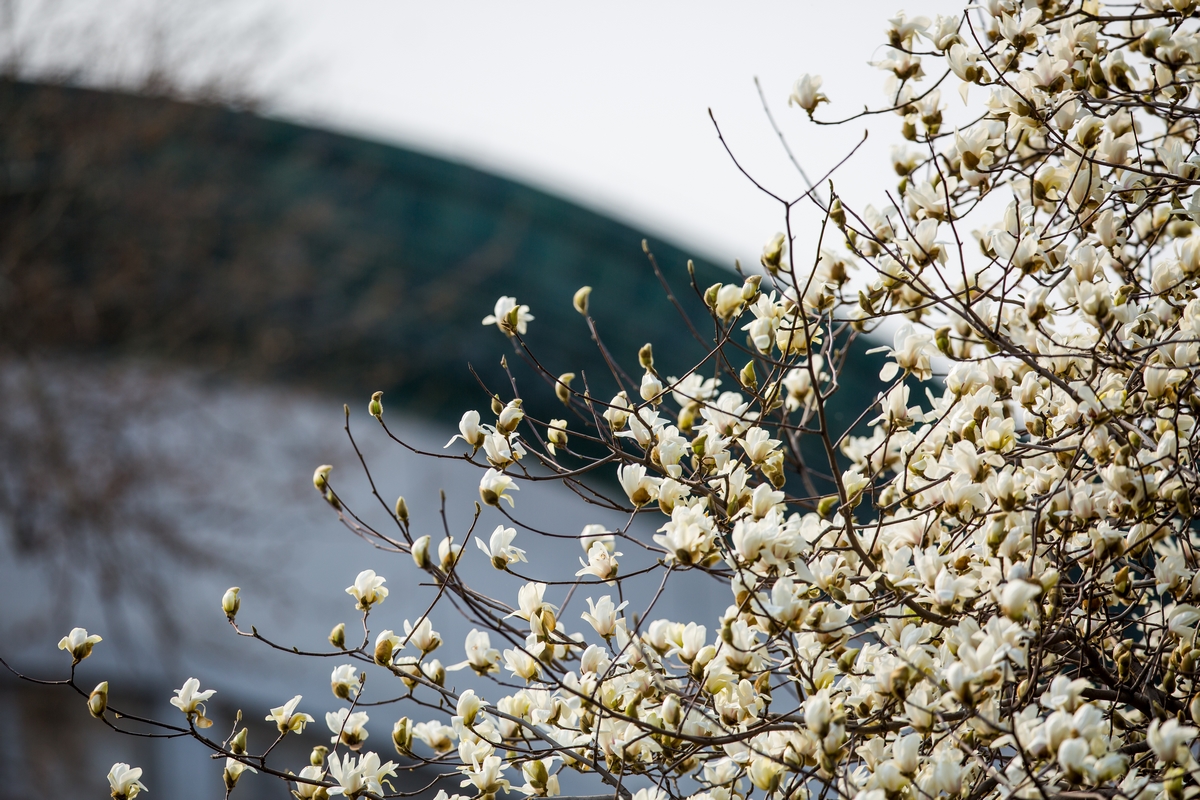 首页- yl永利集团中国区官方网站