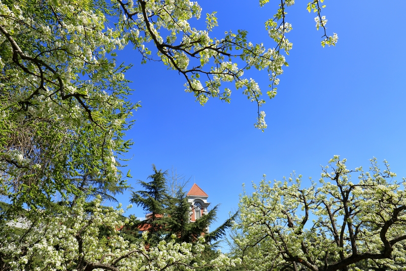 首页- yl永利集团中国区官方网站