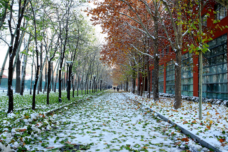 首页- yl永利集团中国区官方网站