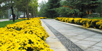 首页- yl永利集团中国区官方网站