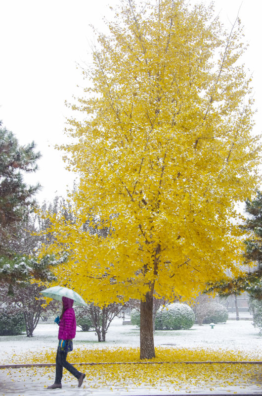 首页- yl永利集团中国区官方网站