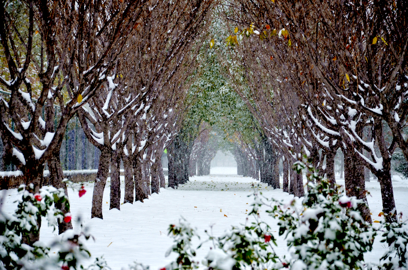 首页- yl永利集团中国区官方网站