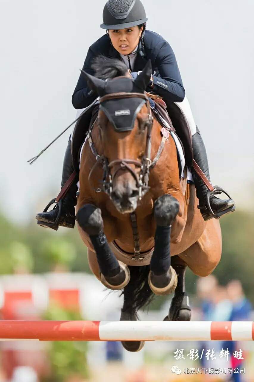 首页- yl永利集团中国区官方网站