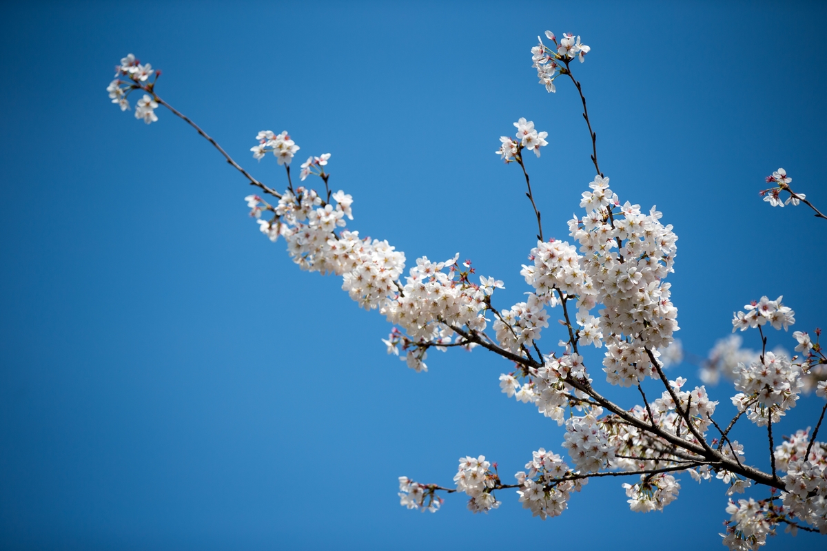 首页- yl永利集团中国区官方网站