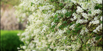 首页- yl永利集团中国区官方网站