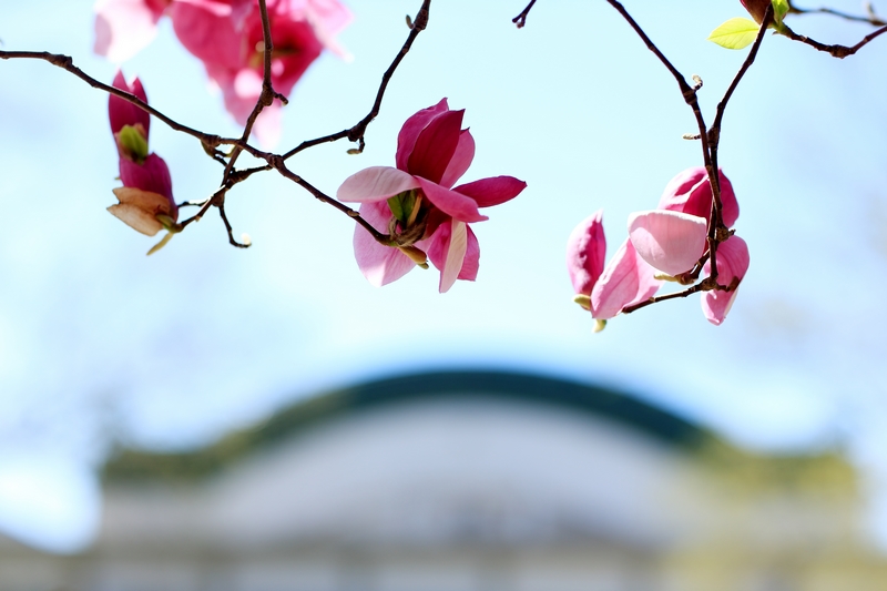 首页- yl永利集团中国区官方网站