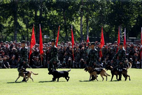 首页- yl永利集团中国区官方网站
