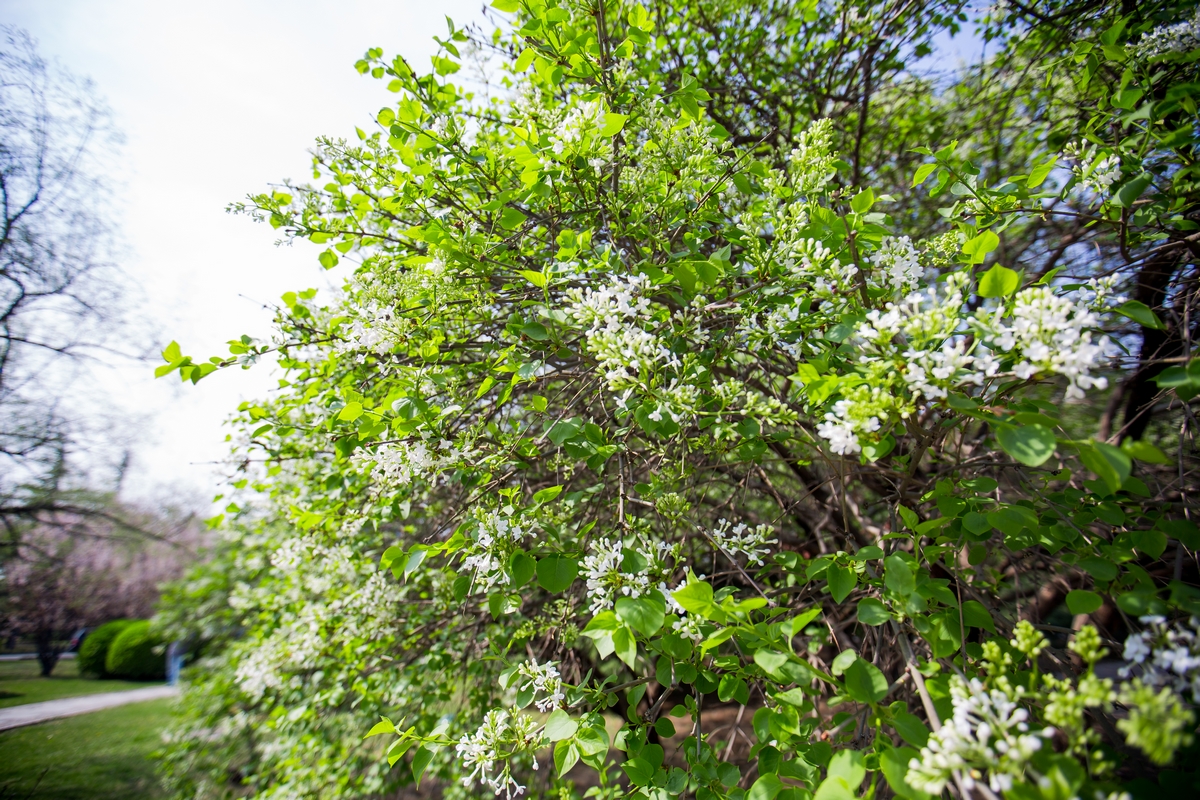 首页- yl永利集团中国区官方网站