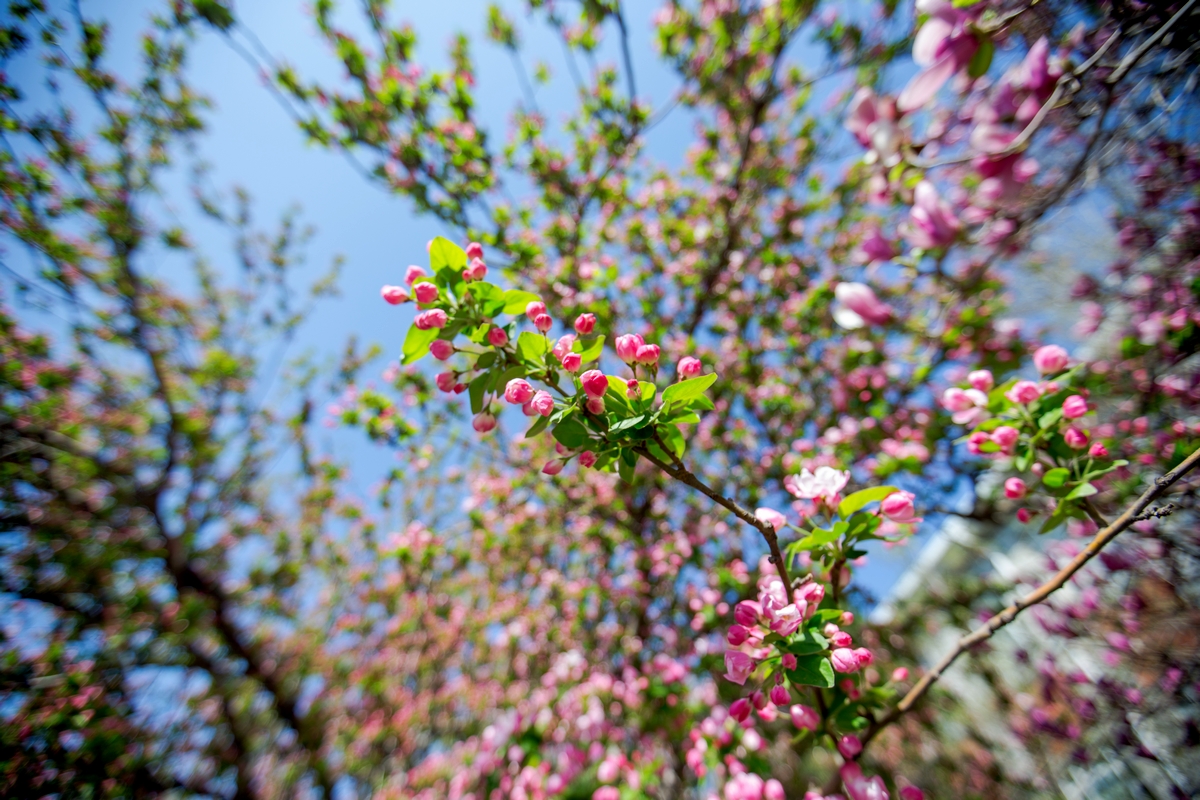 首页- yl永利集团中国区官方网站