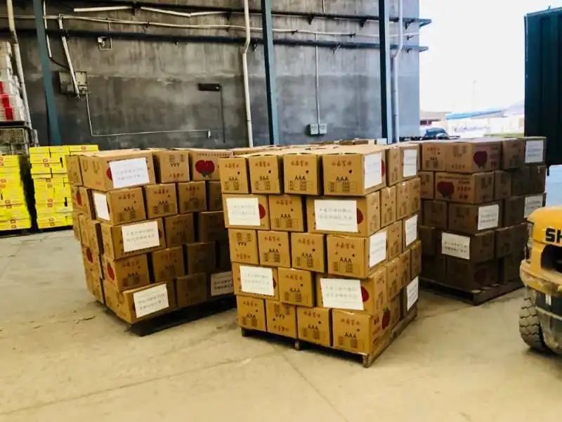 首页- yl永利集团中国区官方网站