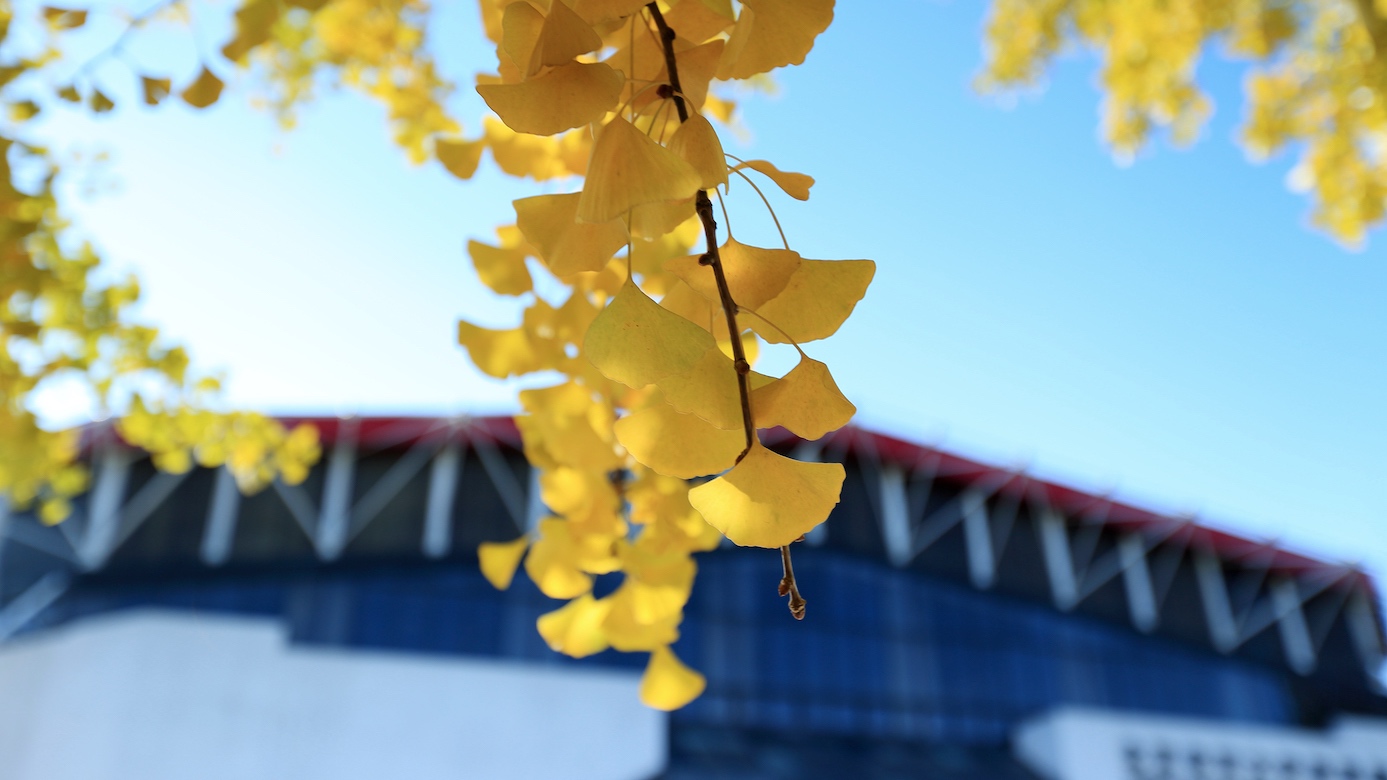 首页- yl永利集团中国区官方网站
