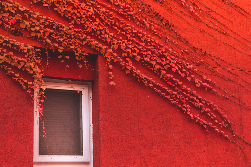 首页- yl永利集团中国区官方网站