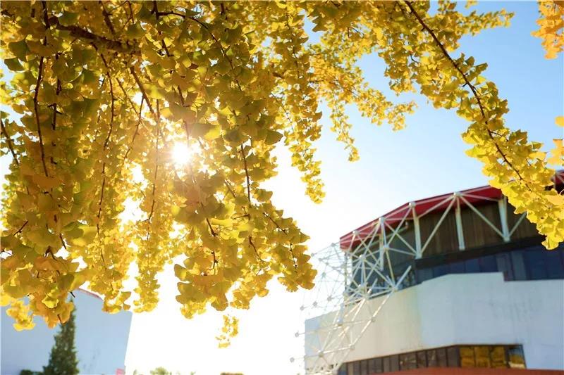 首页- yl永利集团中国区官方网站