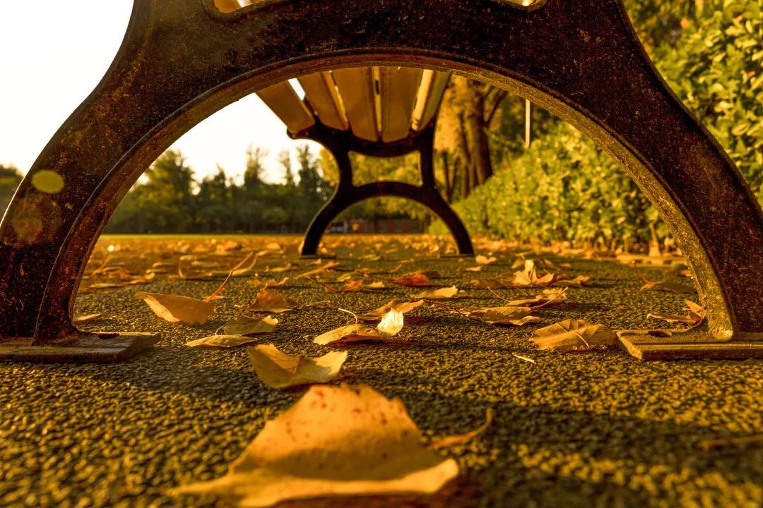 首页- yl永利集团中国区官方网站