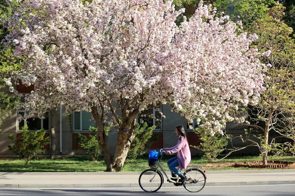 首页- yl永利集团中国区官方网站