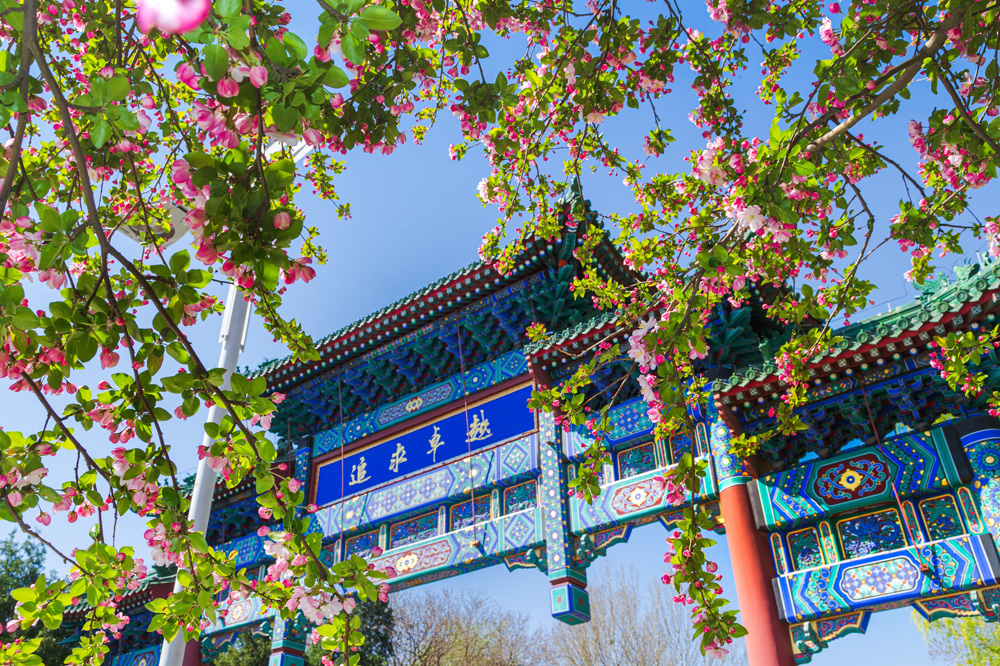 首页- yl永利集团中国区官方网站