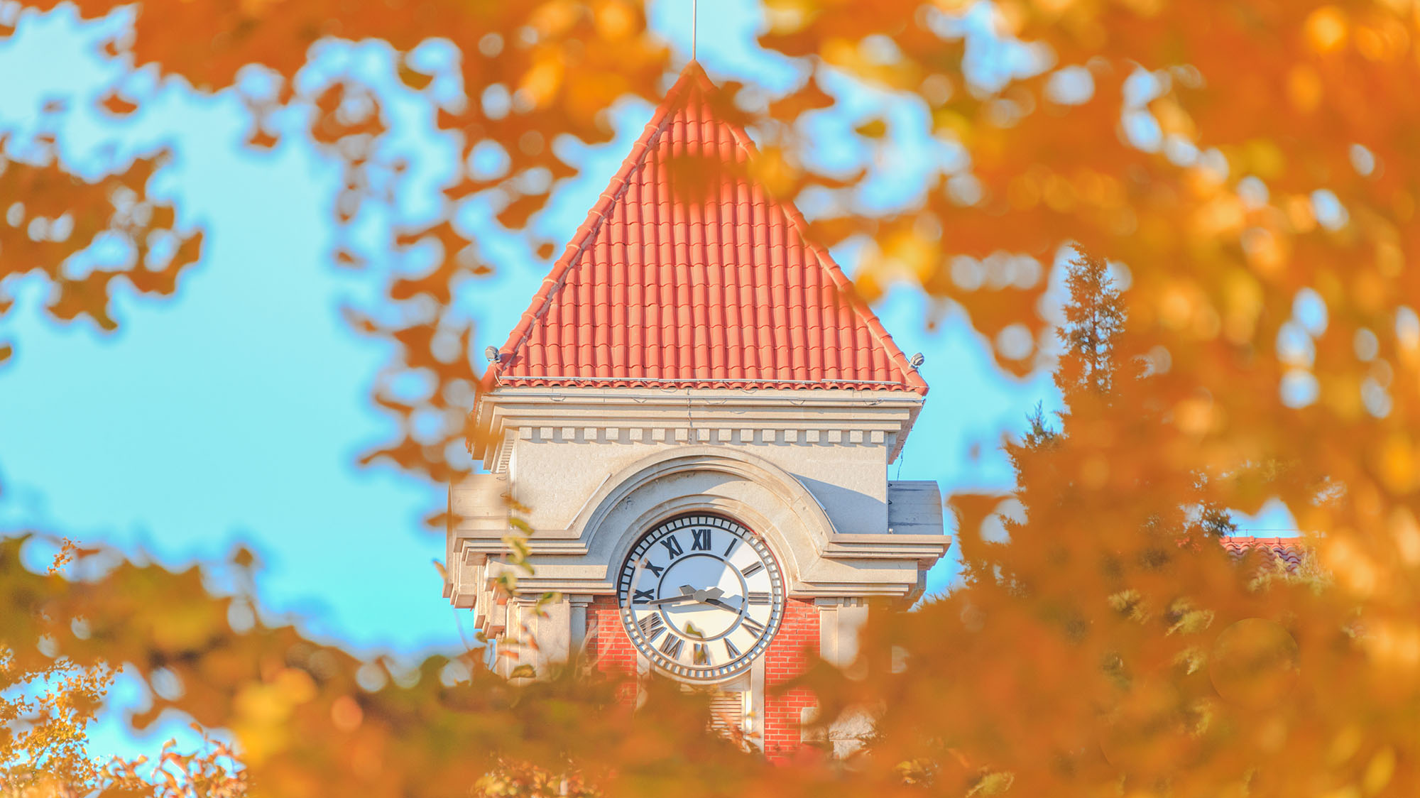 首页- yl永利集团中国区官方网站