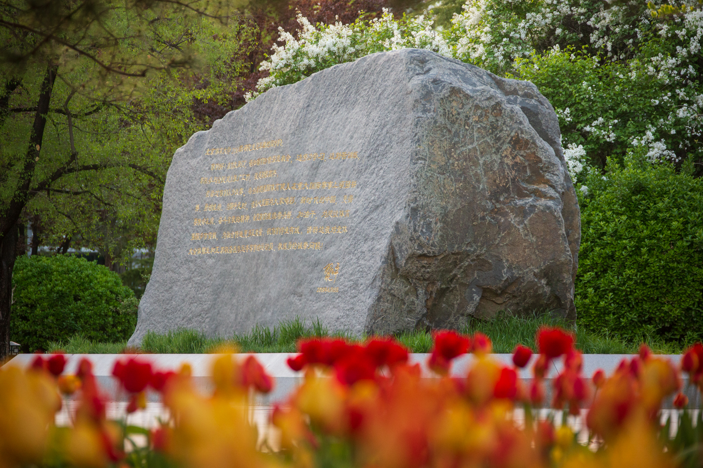 首页- yl永利集团中国区官方网站