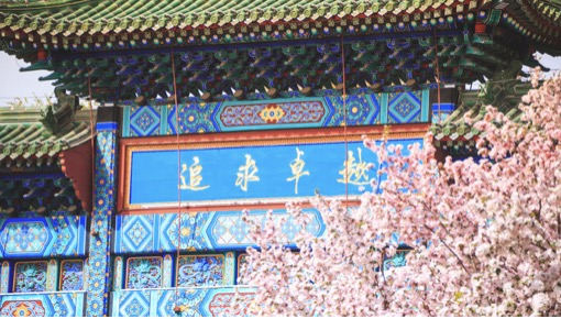 首页- yl永利集团中国区官方网站