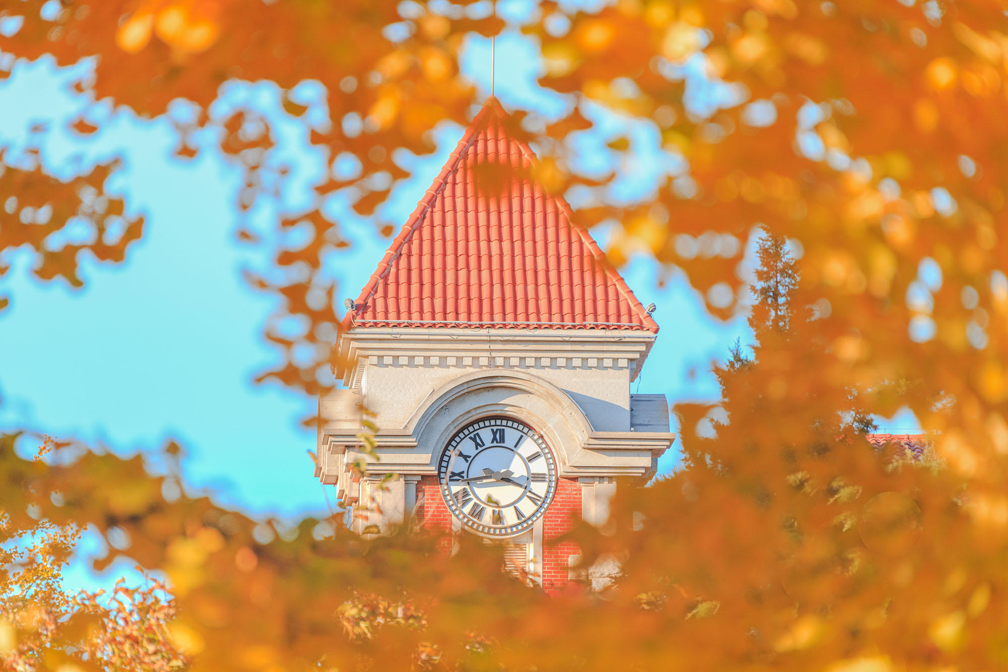 首页- yl永利集团中国区官方网站