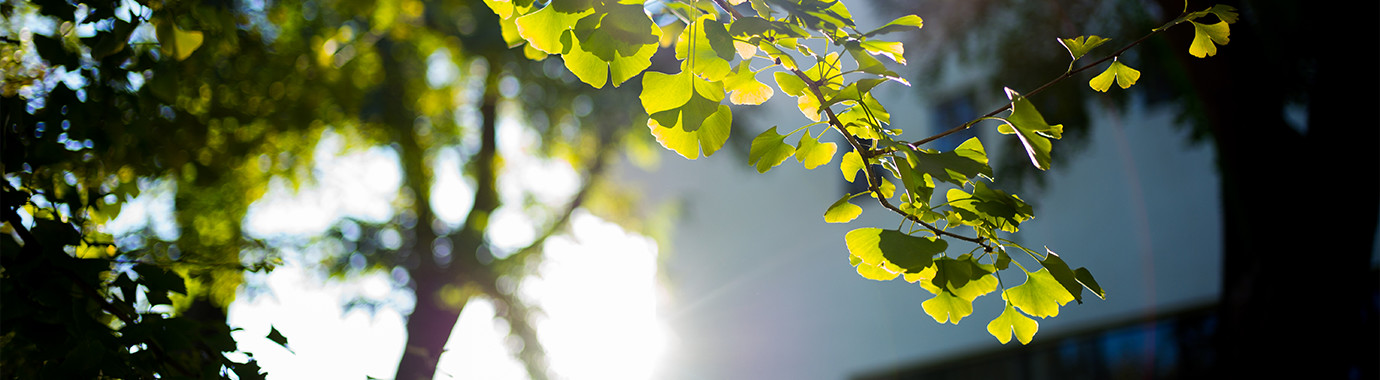 首页- yl永利集团中国区官方网站